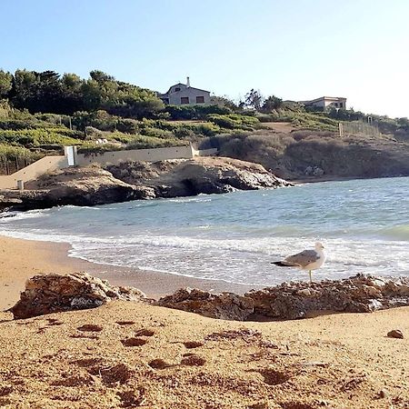 T3 Climatise Avec Jardin, Parking Prive, A 400M De La Plage Et Commerces - Fr-1-316-230 Six-Fours-les-Plages Exterior photo